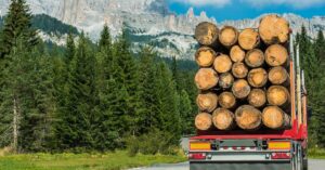 Timbermen's Convention