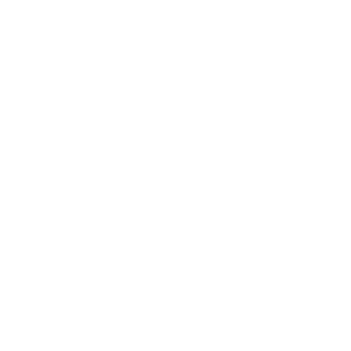customer-support